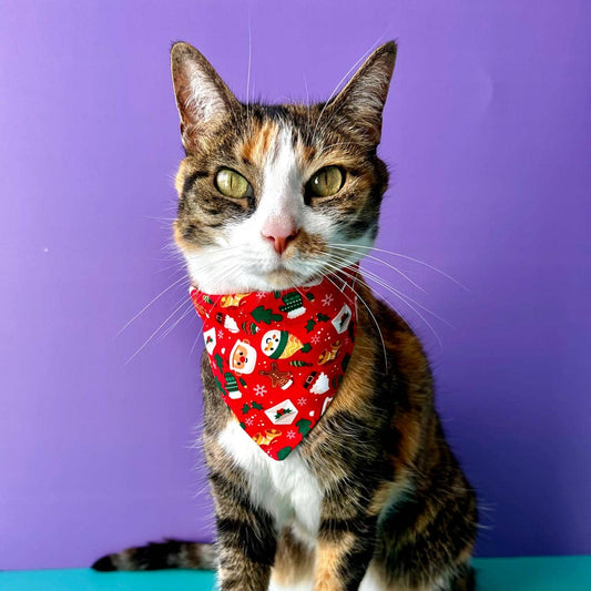 Pañoleta para gatos de Navidad Papá Noél