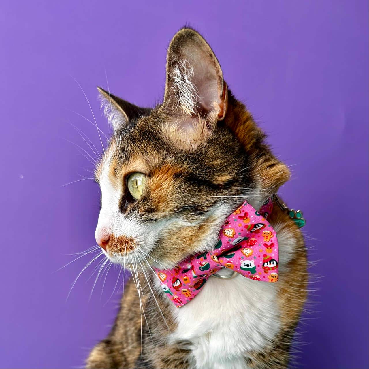 Corbatín para gatos de Navidad Magia Polar rosa