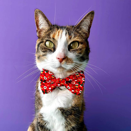 Corbatín para gatos de Navidad Papá Noél
