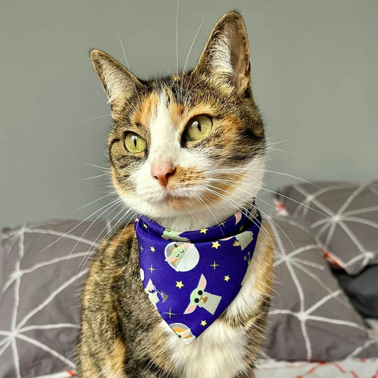 Pañoleta para gatos Star Wars