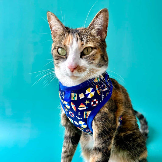 Pechera para gatos sin correa Playa