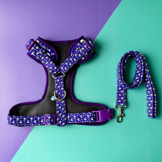 Pechera para perros con correa Halloween calaveras