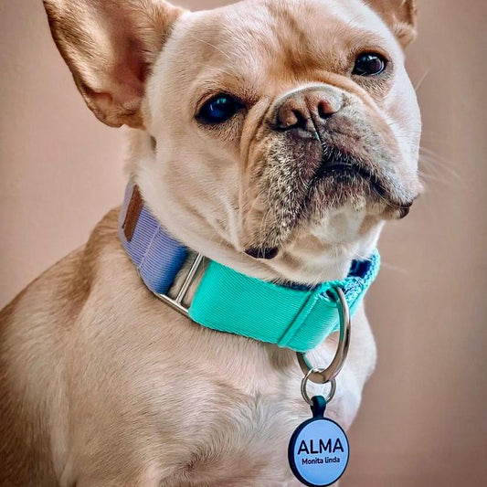 Placa para perros en goma círculo estándar 3,5x4,5 cm