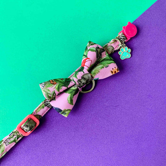 Corbatín para gatos Safari