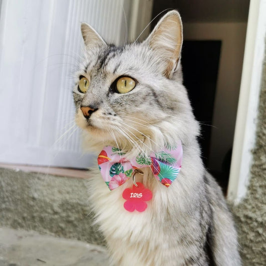 Placa de identificación Flor