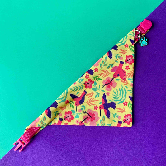 Pañoleta para gatos Colibríes