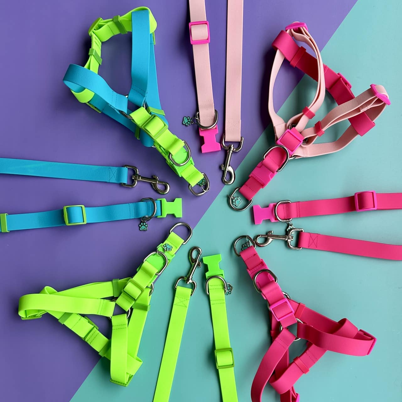 Accesorios para perros en goma impermeable