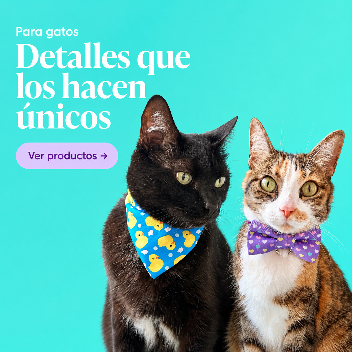 Accesorios para gatos