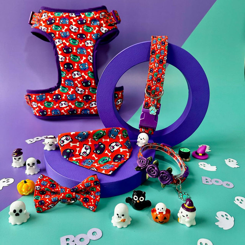 Accesorios de Halloween para gatos
