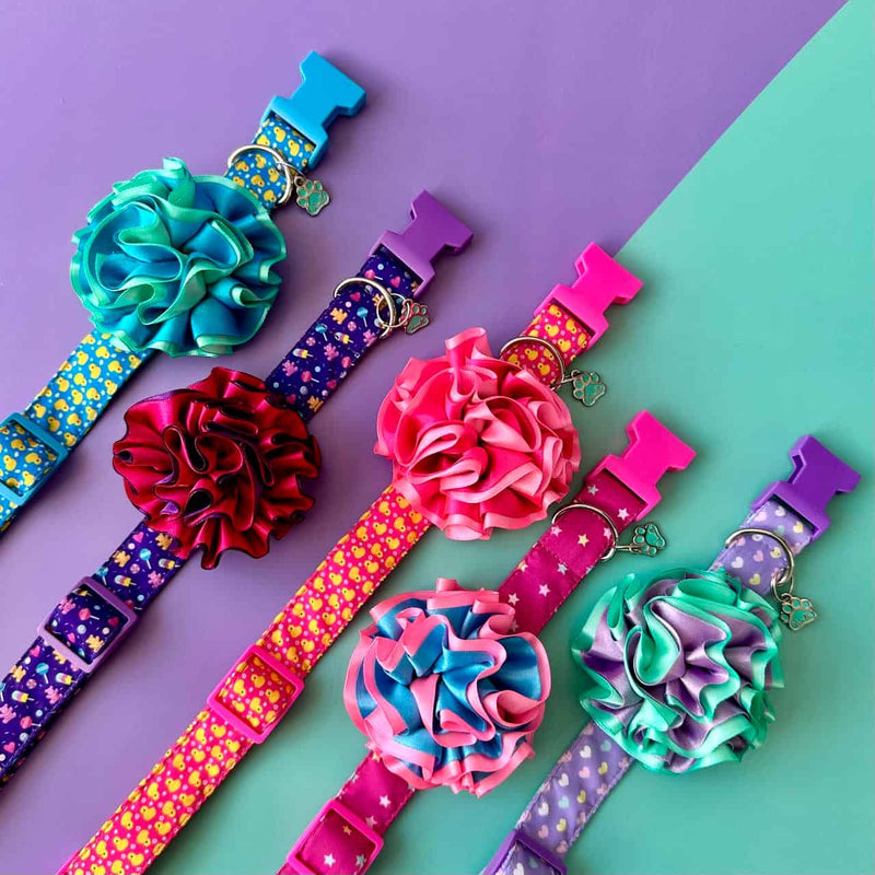 Collares para perros con flor bicolor
