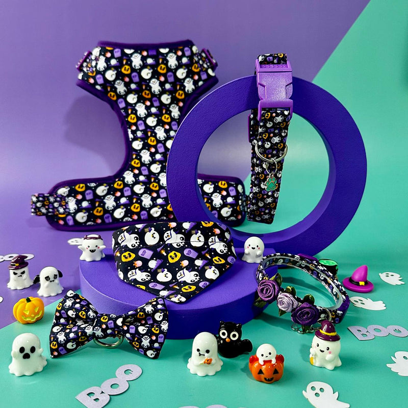 Halloween Mascotas