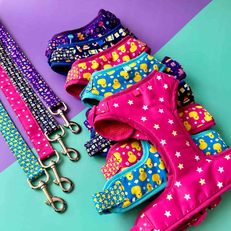 Pecheras para perros cómodas y seguras