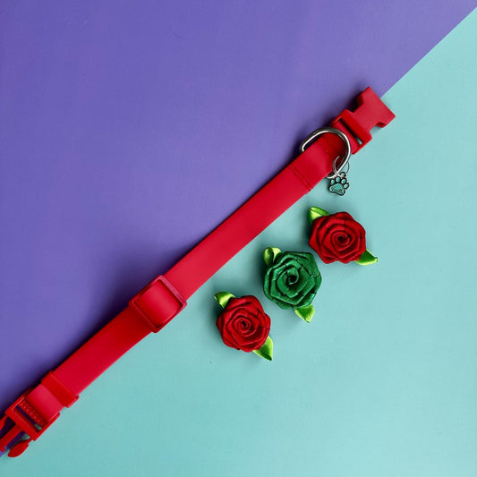 Collar para perros en goma impermeable rojo con rosas de Navidad
