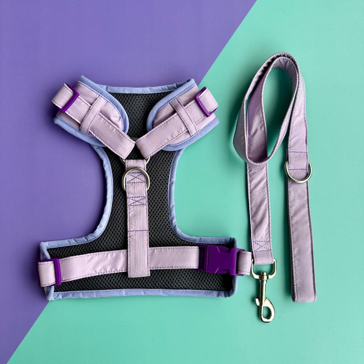 Pechera para perros con correa lila