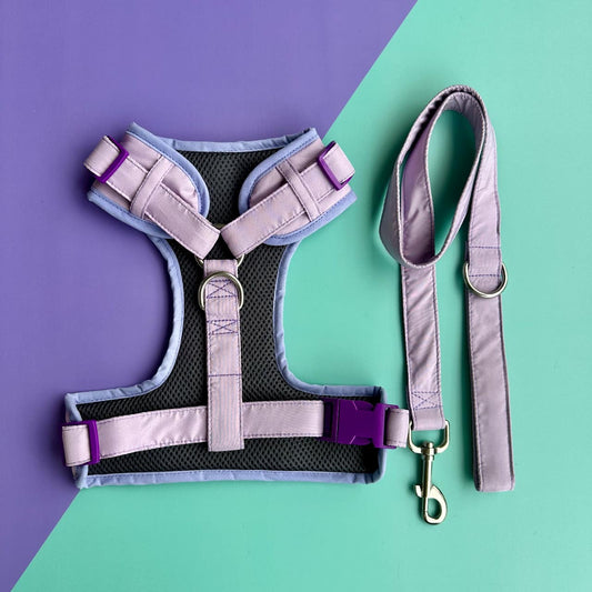 Pechera para perros con correa lila