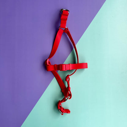 Arnés para perros en goma impermeable rojo con correa