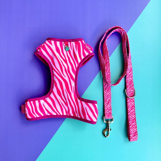 Pechera para perros con correa Cebra rosado