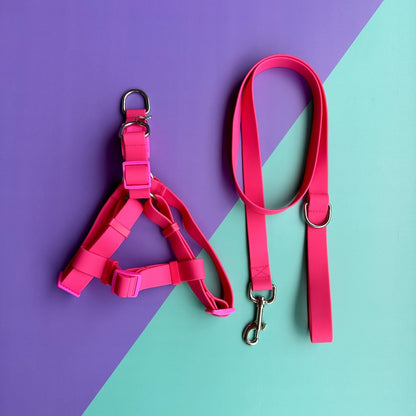 Arnés para perros en goma impermeable fucsia con correa
