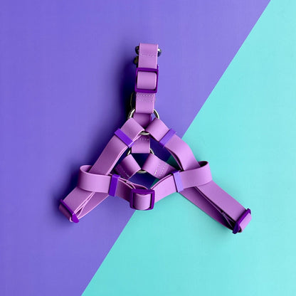 Arnés para perros en goma impermeable lila con correa