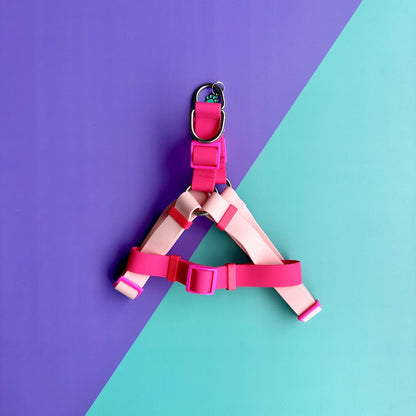 Arnés para perros en goma impermeable rosado y fucsia con correa