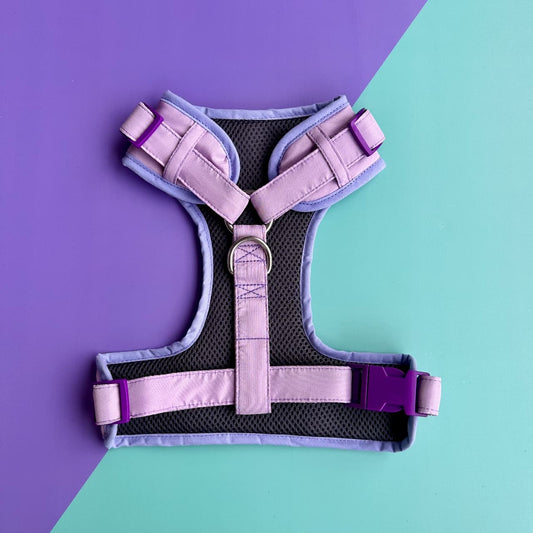 Pechera para perros sin correa lila
