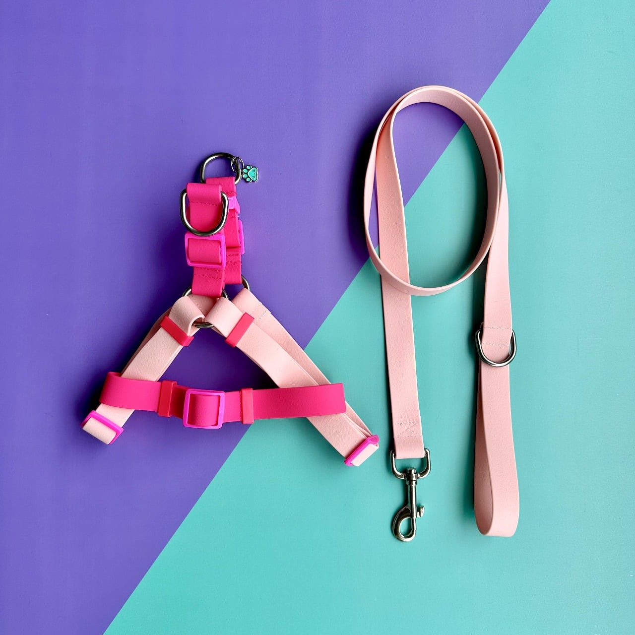 Arnés para perros en goma impermeable rosado y fucsia con correa