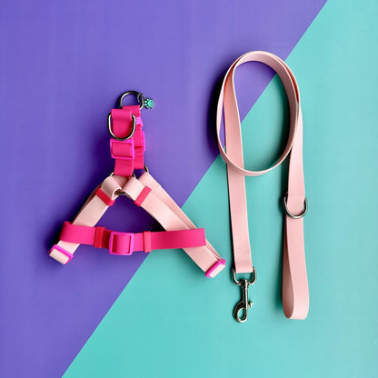 Arnés para perros en goma impermeable rosado y fucsia con correa