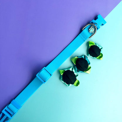 Collar para perros en goma impermeable turquesa con rosas