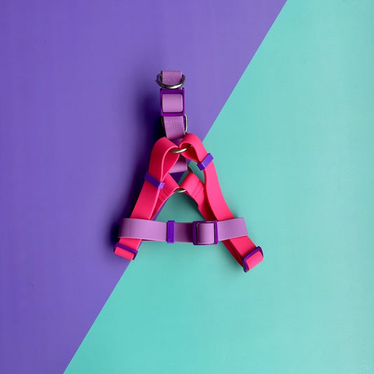 Arnés para perros en goma impermeable fucsia y lila con correa