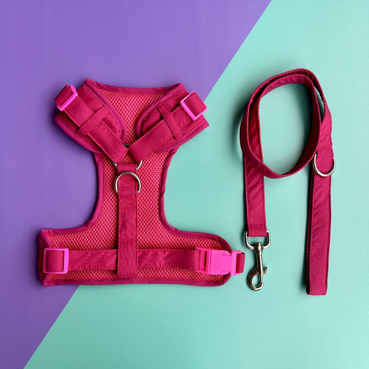 Pechera para perros con correa fucsia