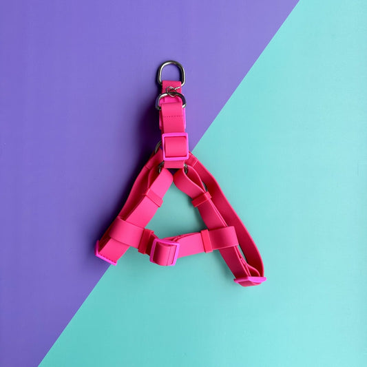 Arnés para perros en goma impermeable fucsia con correa
