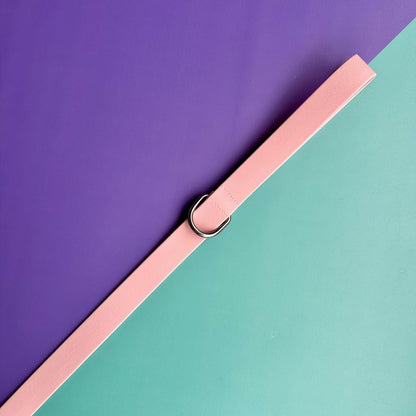 Arnés para perros en goma impermeable rosado y fucsia con correa