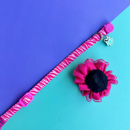 Collar para gatos Cebra fucsia con flor tul fucsia oscuro