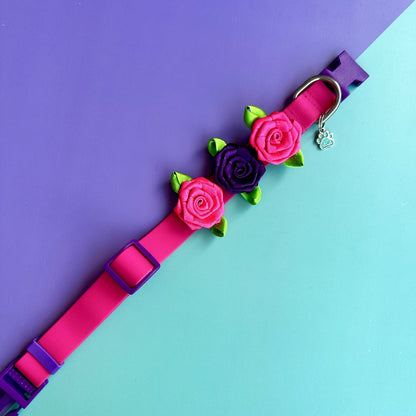 Collar para perros en goma impermeable fucsia y morado con rosas