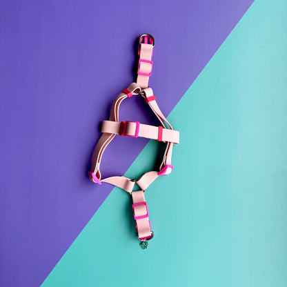 Arnés para perros en goma impermeable rosado con correa