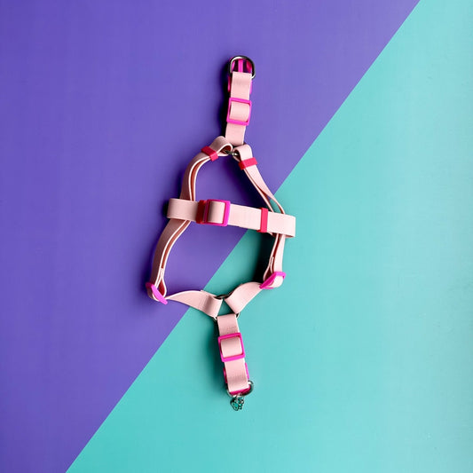 Arnés para perros en goma impermeable rosado con correa