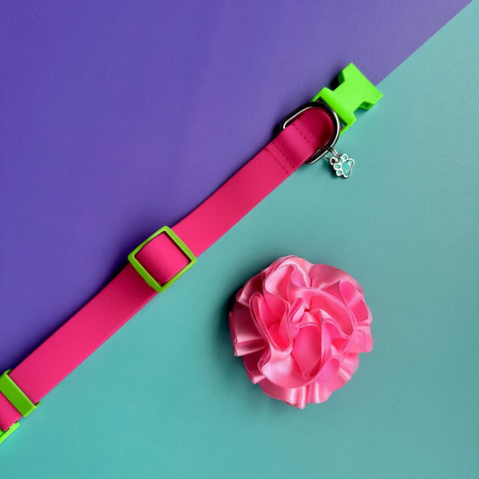 Collar para perros en goma impermeable fucsia y verde neón con flor tul rosado neón