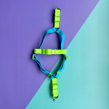 Arnés para perros en goma impermeable azul y verde neón con correa