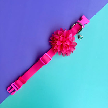 Collar para perros en goma fucsia con flor seda