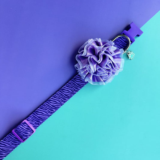 Collar para perros con flor tul lila- Cebra lila (Copia)