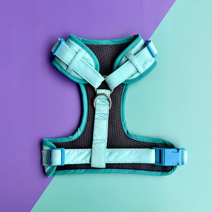 Pechera para perros sin correa aguamarina