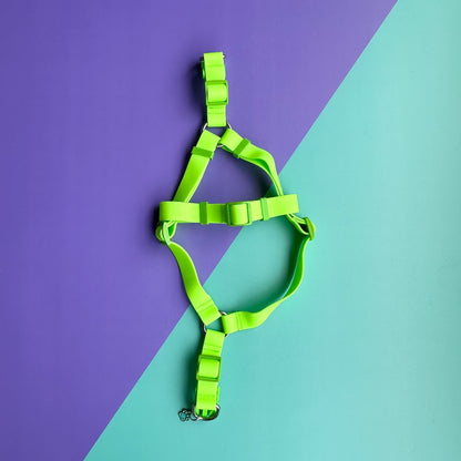 Arnés para perros en goma impermeable verde neón con correa