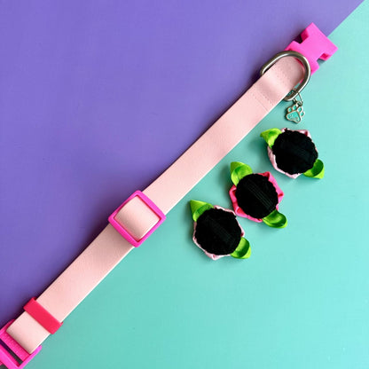 Collar para perros en goma impermeable rosado con rosas