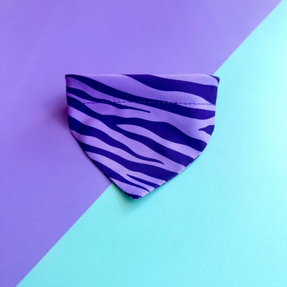 Pañoleta para gatos Cebra lila