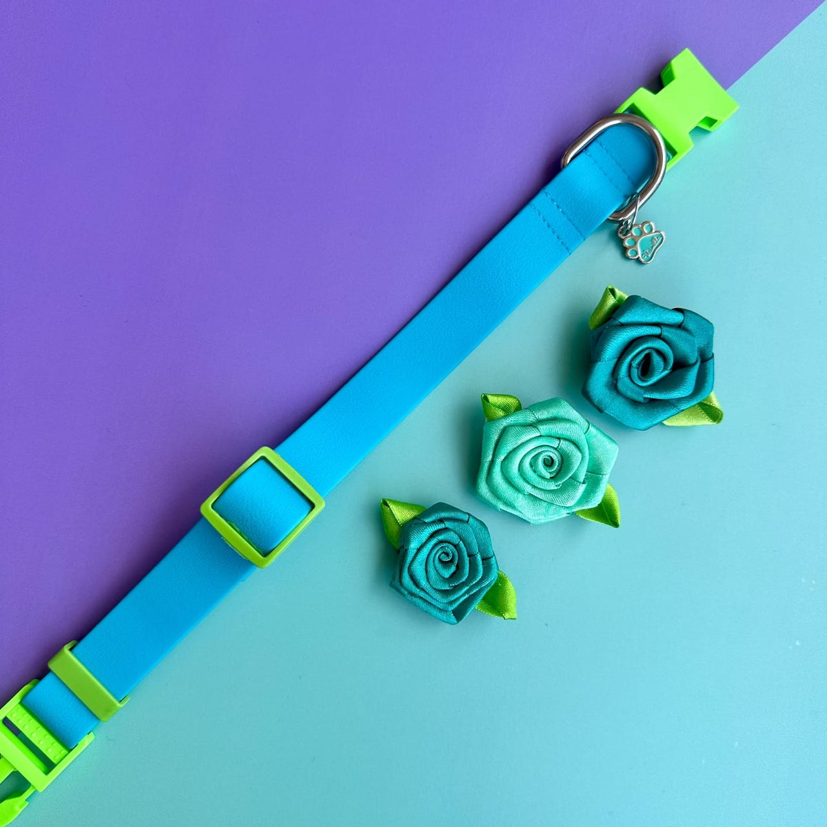Collar para perros en goma impermeable turquesa y verde neón con rosas