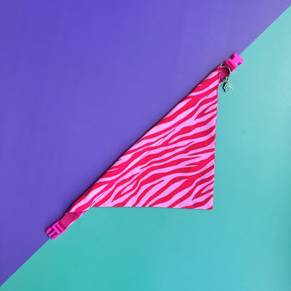 Pañoleta para gatos Cebra fucsia