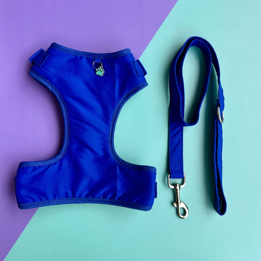 Pechera para perros con correa azul rey