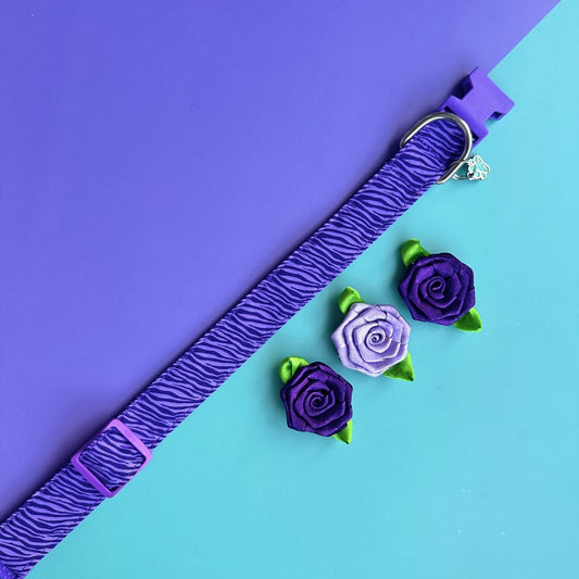 Collar para perros con rosas Cebra lila 3