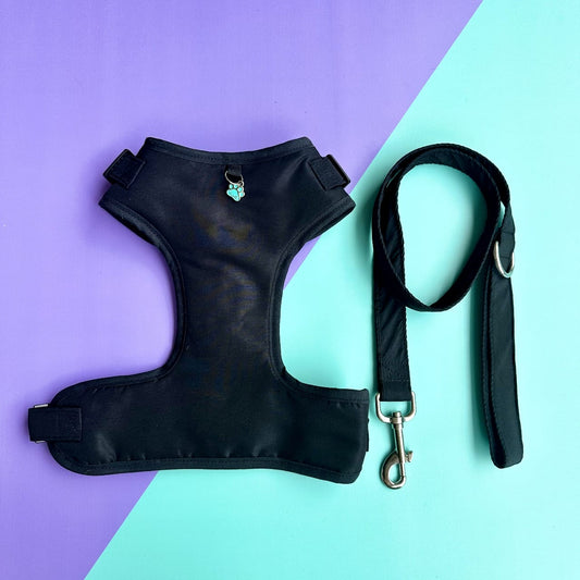 Pechera para perros con correa negra