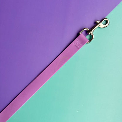 Correa para perros en goma impermeable lila